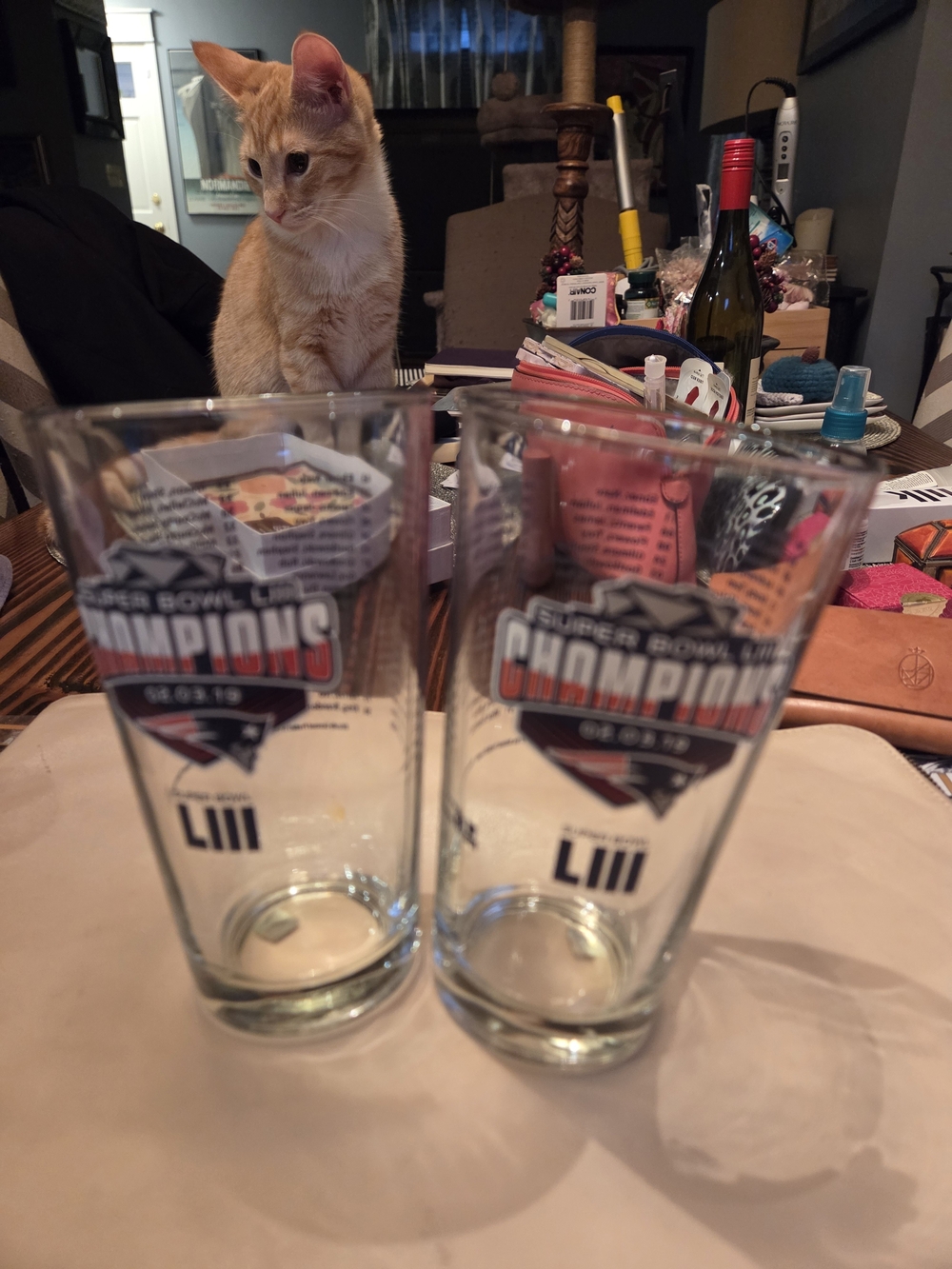 NFL Patriots Super Bowl LIII Champions Clear Pint Glasses with Red and Blue Logo